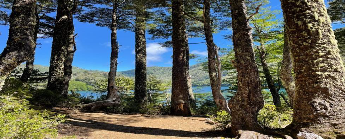 Fundamentos filosóficos para una ecosuicidología