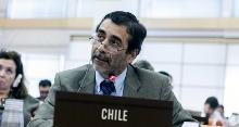 En representación de Chile, participó el Director Ejecutivo de CONAF, Aarón Cavieres, quien es ingeniero forestal de la Universidad de Chile.