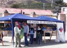 En el año 2010 CONAF elaboró un Programa Nacional para la Conservación de Humedales insertos en el Sistema Nacional de Áreas Silvestres Protegidas del Estado.