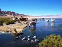 Un "Sitio Ramsar" corresponde a un Humedal de Importancia Internacional, cuyas fuentes de agua que lo estructuran son fundamentales para la vida vegetal y animal.