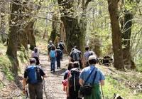 La situación de cambio global donde la economía y manejo de los recursos naturales es cada vez más importante, por ello la carrera de ingeniería forestal es clave.