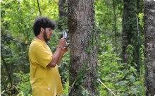 En la actualidad los estudiantes de la carrera de Ingeniería Forestal realizan sus prácticas en la Estación Experimental Edmundo Winkler.