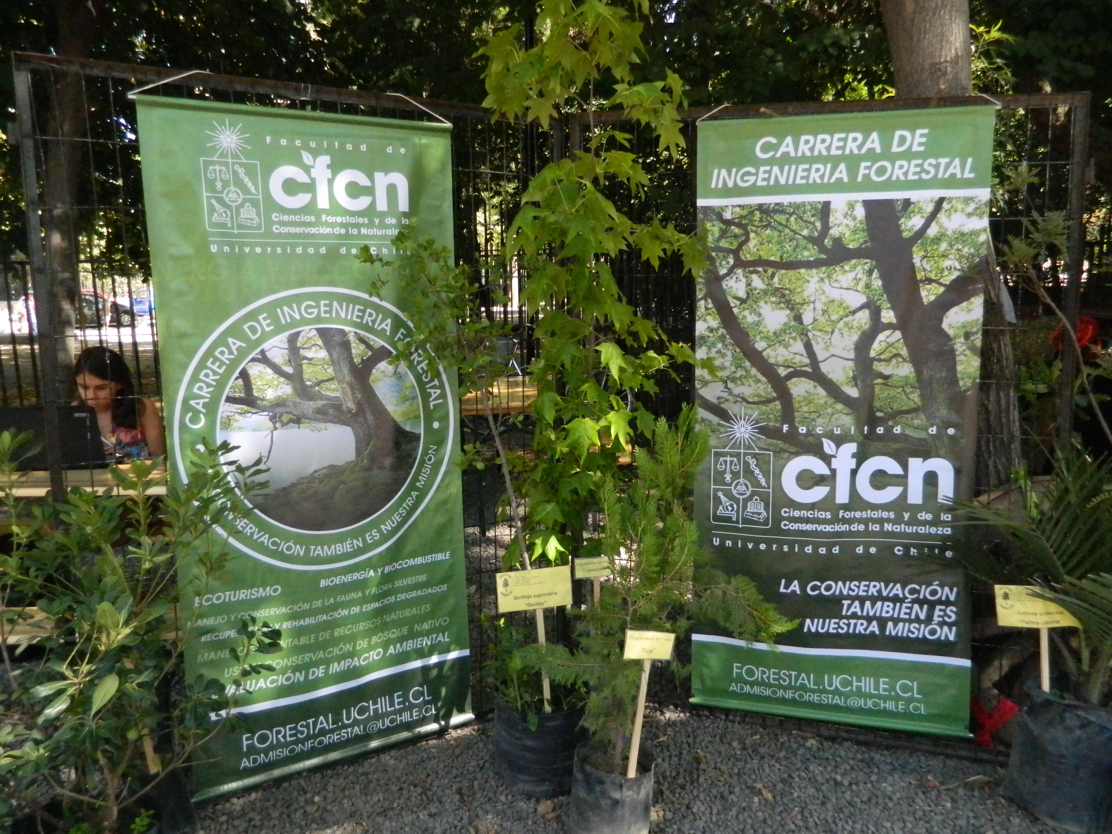 a carrera de ingeniería forestal está enfocada a la conservación de los recursos naturales. La Fcaultad cuenta con especialistas en biodiversidad, suelos, recursos hídricos,  entre otros.