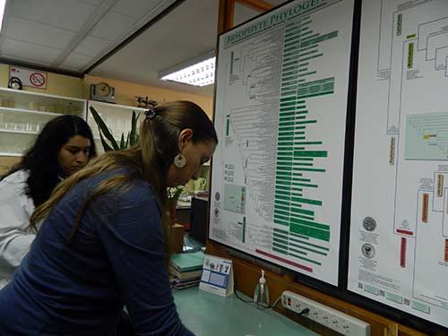 Paulette Naulin junto a Consttanza Galaz trabajando en el Laboratorio.