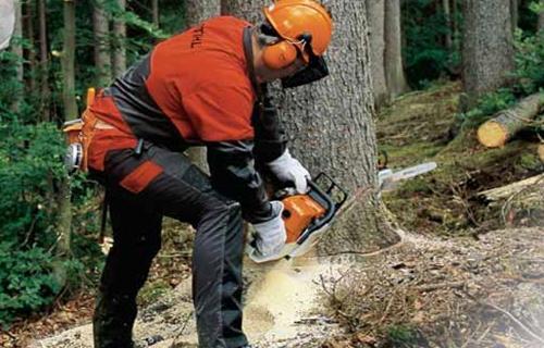 La leña en óptimas condiciones produce el efecto de carbono neutro.