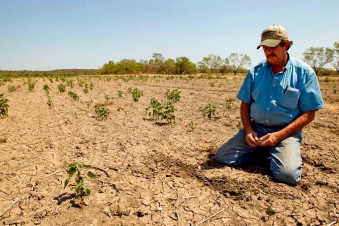 Tres factores impulsaron la deforestación: la minería en el norte del pais, la colonización en Los Ríos y Los Lafos y el despeje de la precordillera central para uso ganadero y cultivo de cereales.