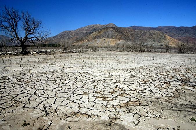 Sólo en 1992 se presentó un proyecto de ley de protección del bosque nativo, el que sólo se aprobó 20 años después en el Congreso.