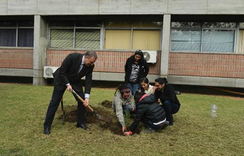 Los ciprés de la cordillera fueron plantados en una simbólica ceremonia que contó con la presencia del vicedecano, Juan Caldentey, académicos, administrativos y un grupo representantes de lo