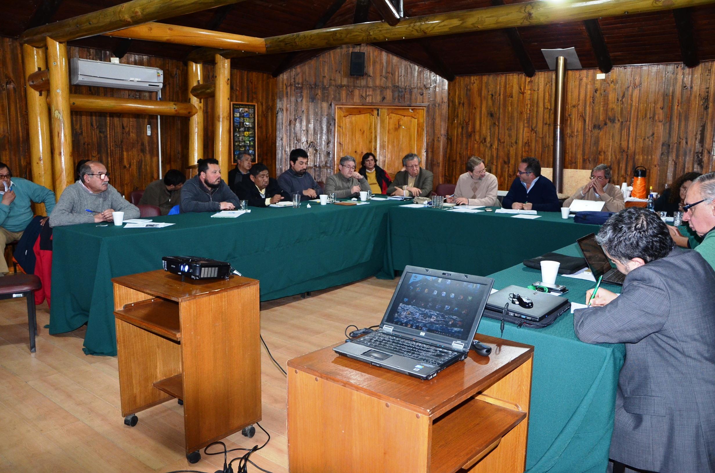 El abastecimiento de la pyme maderera corresponde a uno de los dos temas prioritarios definidos por el Consejo de Política Forestal.