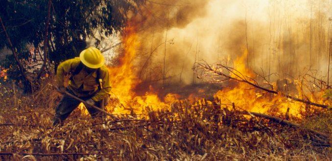 El fenómeno de los incendios en zonas forestales y áreas periurbanas, desde hace tiempo avisaba de una tendencia peligrosa, señala el Dr. Donoso.