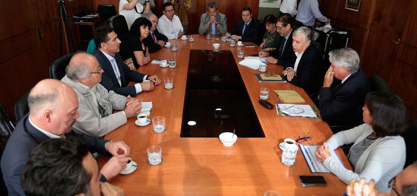 El Plan fue entregado el día jueves 2 de marzo al Ministro de Agricultura, Carlos Furche.