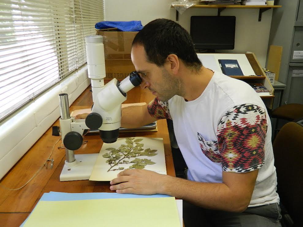 El Profesor Dr. Nicolás García es el nuevo curador del Herbario de la Facultad de Ciencias Forestales y de la Conservación de la Naturaleza.