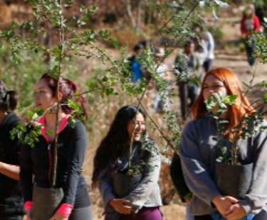 92 estduiantes de primer año de la carrera de ingeniería Forestal participaron en esta actividad de aprendizaje y restauración.