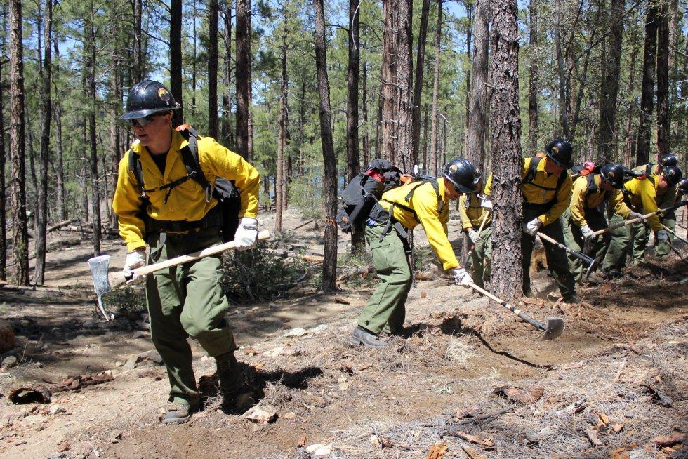 Estados Unidos ha sido ejemplo de la disminución de los incendios gracias a políticas estatales coordinadas en el ámbitos de la prevención y del combate al fuego.