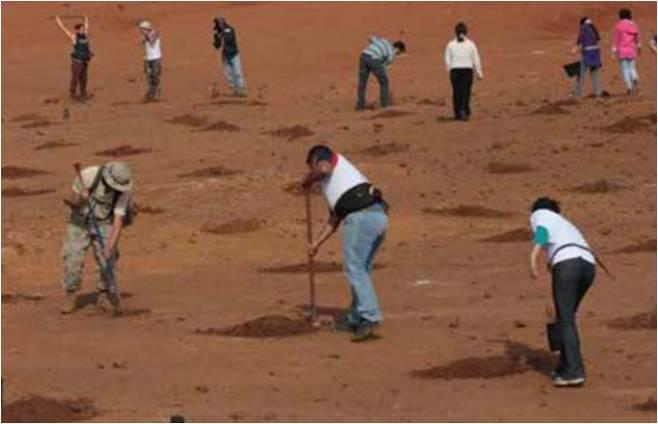 Vivianne Claramut comentó la experiencia de restauración ecológica en el Sistema Nacional de Areas Silvestres Protegidas del Parque Nacional Rapa Nui.