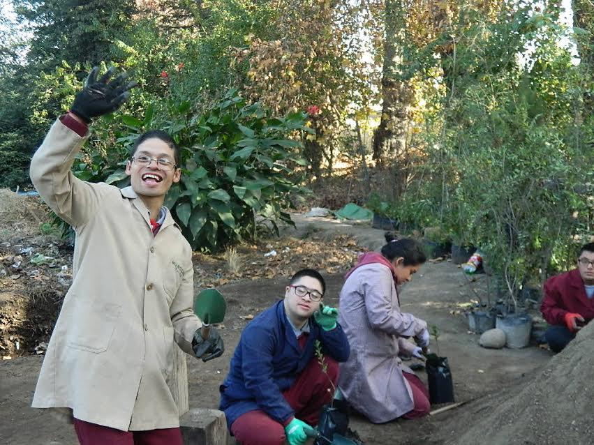 Los niños y niñas de la Escuela Básica y Especial el Nazareno, realizaron diversas actividades de cuidado de las plantas.