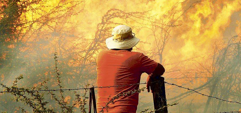 Según el último informe del organismo, denominado Análisis de Afectación y Severidad de los Incendios Forestales, entre el 1 de enero y 10 de febrero de este año se quemaron 518.174 hectáreas.