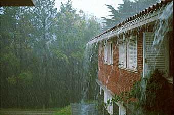 Para la Conaf, lo positivo sería llegar al verano con una disminución de la sequía, de mantenerse las precipitaciones.