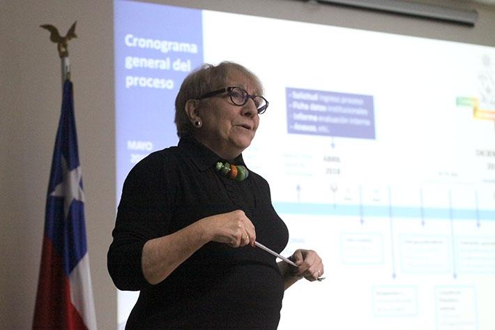 La Profesora Titular de la Facultad de Medicina, Gloria Riquelme, ha sido la encargada de presentar el plan estratégico de trabajo en los Consejos de Facultad estas últimas semanas.