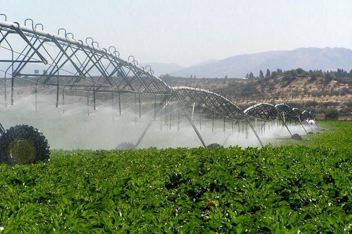 A la ya mencionada escasez de agua se suma otro grave problema: el avance de la desertificación y la erosión de los suelos.