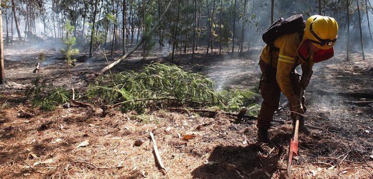 Gran impacto a nivel hidrológico tuvieron los incendios del verano pasado. Provoca por ejemplo una escorrentía superficial y arrastra las partículas y cenizas en suspensión, contaminando el agua.