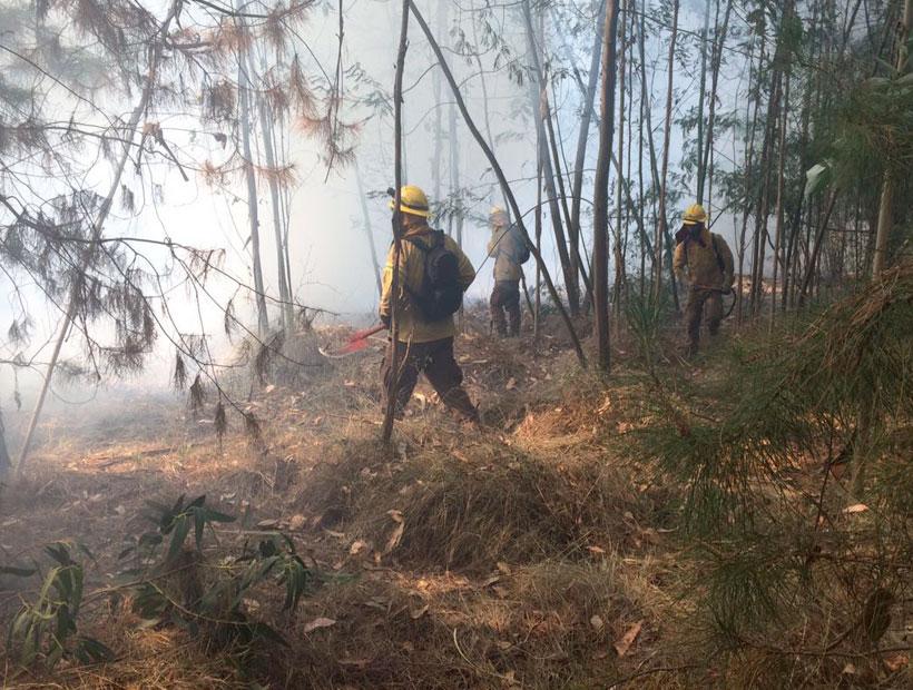 La Reserva Lago Peñuelas fue afectada por los incendios del verano de 2017. La Reserva protege especies de fauna como el cisne cuello negro, lagarto chileno, entre otros.