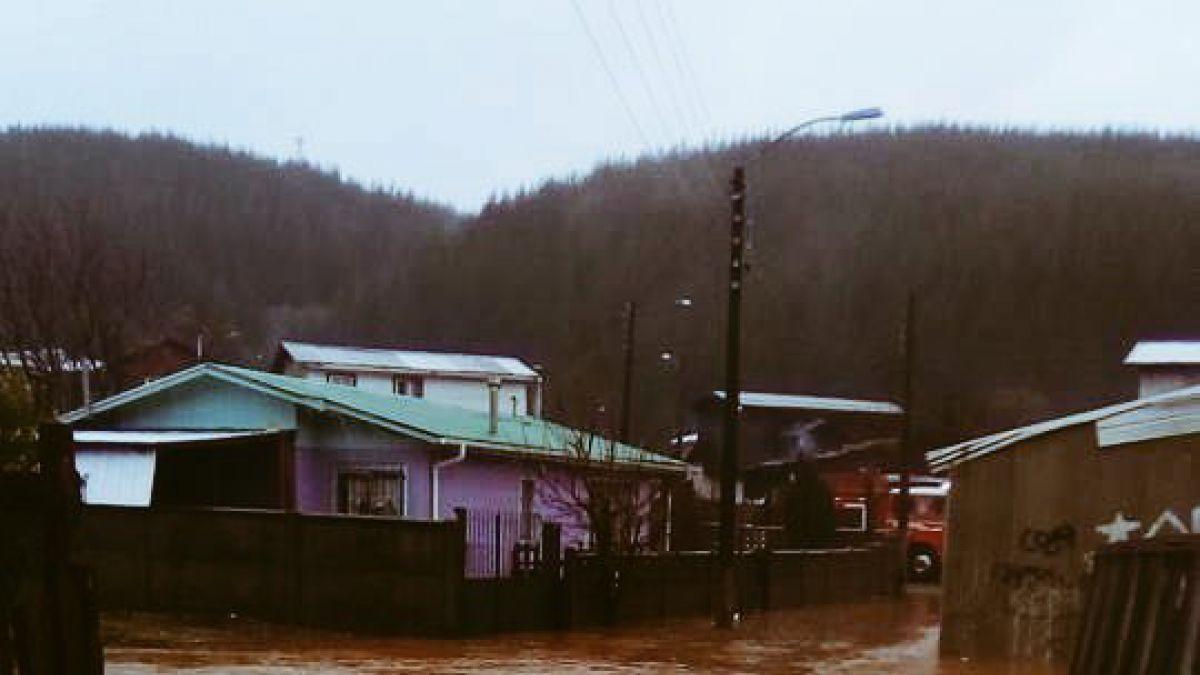 Las lluvias ocurridas durante el mes de noviembre  son las según el análisis de los expertos ejercen una fuerte influencia en la magnitud de los incendios en enero.