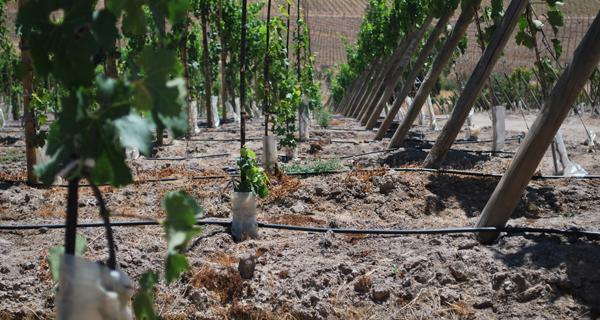 Si bien reconoció que ha habido avances en materia de infraestructura, como la construcción de embalses y canales, advirtió que es un tema pendiente la planificación del uso de la tierra.