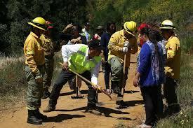 La disponibilidad hídrica y alta radiación en verano amenazan los ecosistemas mediterráneos y propician los incendios forestales.