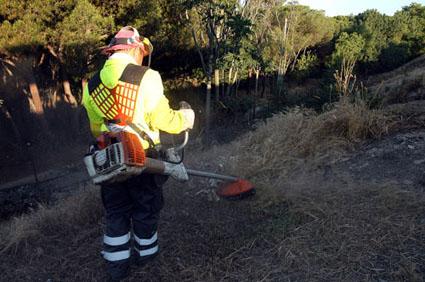 La Silvicultura Preventiva es el manejo de la vegetación, con el propósito de modificar la estructura del combustible disponible y así satisfacer los objetivos de protección contra incendios.