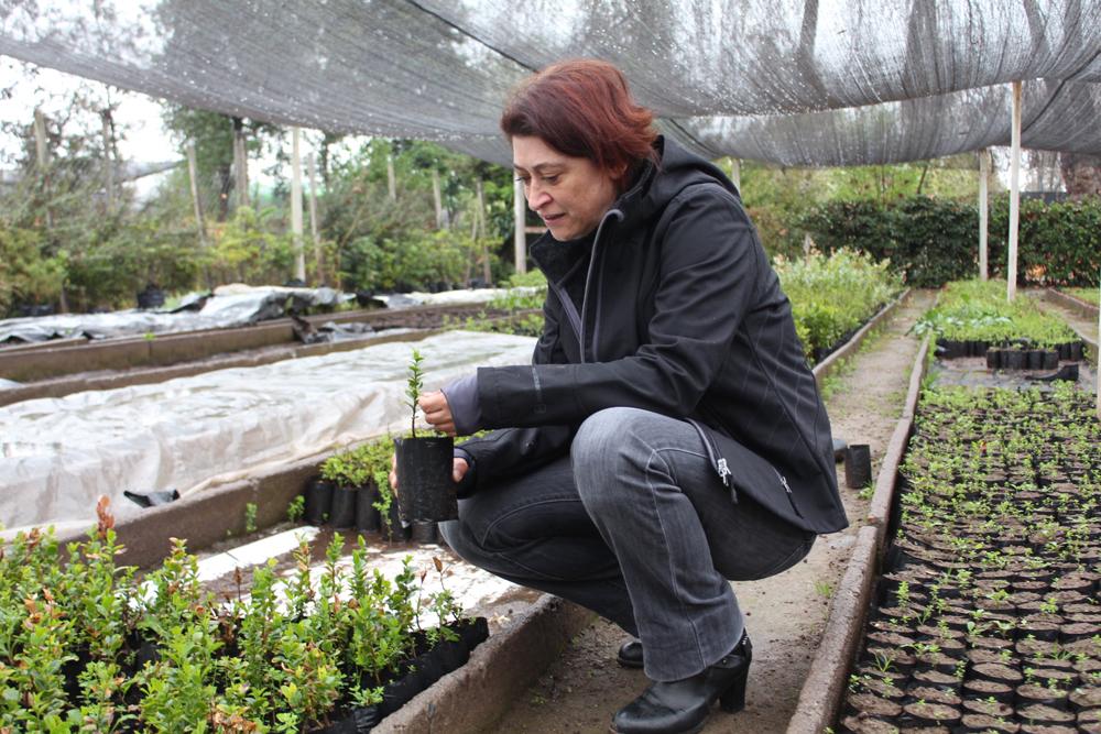 La Profesora Karen Peña, es académica de la Fac. de Cs. Forestales y de la Conservación de la Naturaleza de la U. de Chile y Directora de la Dirección de Extensión.