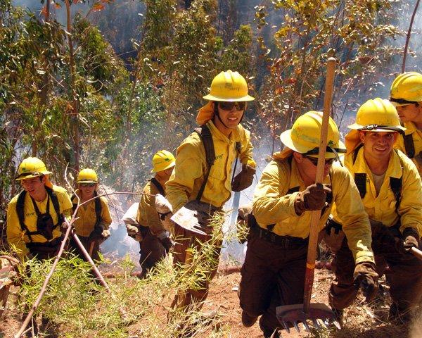 Este Plan permitió establecer la primera unidad técnica en la materia en Chile para contrarrestar a un nivel profesional el grave problema de la amenaza del fuego.