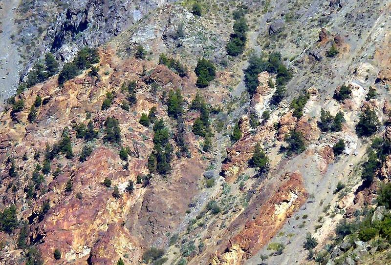 La composición de las especies y su estructura están siendo estudiadas en la Facultad de Ciencias Forestales y de la Conservación de la Naturaleza.