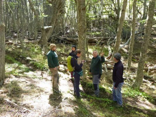 El estudio forma parte de la memoria de título de la estudiante de Ingeniería Forestal de la Universidad de Chile, Isabel Juricic Merillán.