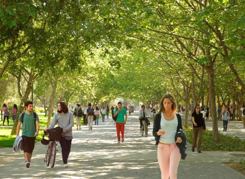 La especie exótica más abundante en Santiago es el ciruelo de flor (Prunus cerasifera). Esta especie es originaria de Europa y Asia. En Chile central, es utilizada para decorar