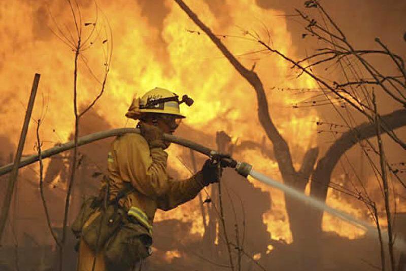 Durante el mes de noviembre de 2016 se produjeron varios incendios en el país. CONAF contó en ese momento 40 focos activos. 