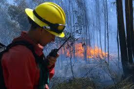 Los drones entregarán información en tiempo real a los brigadistas, información relacionada con el fuego, las características y condiciones del entorno, los accesos, la propagación, entre otras.