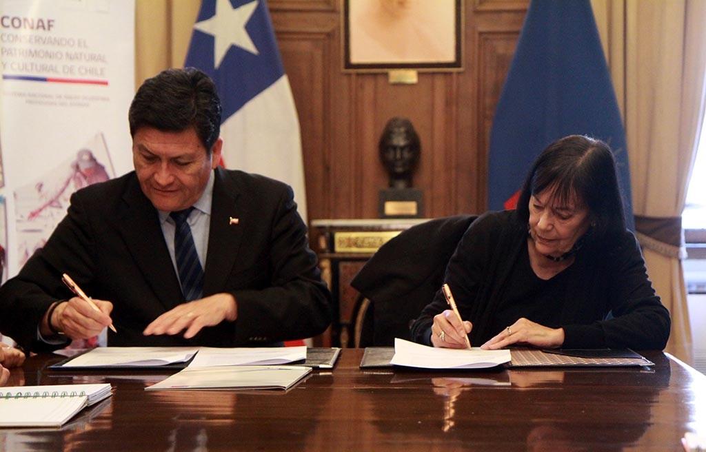 La Decana de la Facultad de Ciencias Forestales y de la Conservación de la Naturaleza, Carmen Luz de la Maza y del director Ejecutivo de CONAF, José Manuel Rebolledo.