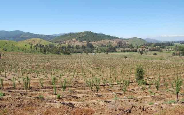 La desertificación en Chile avanza 1 metro por día, abarcando hasta ahora más de 48 millones de hectáreas de tierras.