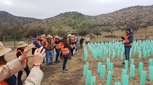 Durante la jornada del sábado 29 de septiembre se realizó una salida a terreno con un grupo de asistentes al Congreso.