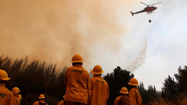 El 99.7 por ciento de los incendios son causados por las personas.