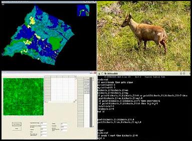 Los investigadores se centrarán en los efectos de la tala rasa en la metaestabilidad de la abundancia animal.