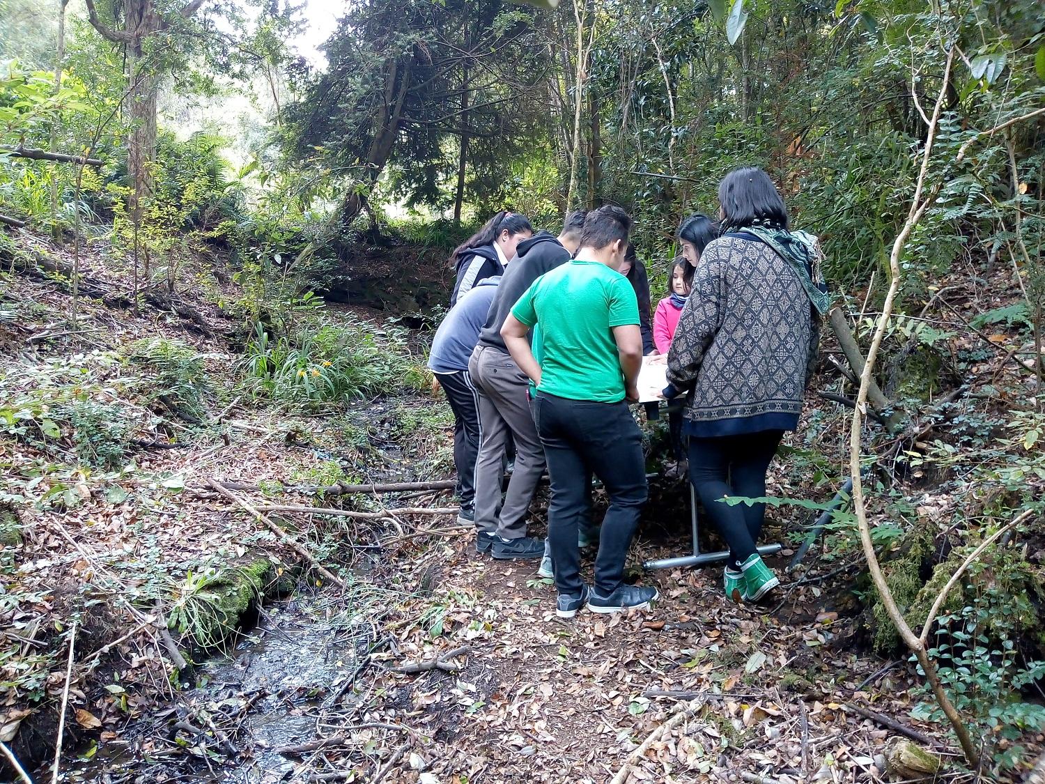 Fueron 24 estudiantes del Colegio Ignacio Carrera Pinto de Frutillar los que participaron de esta iniciativa de educación medioambniental.