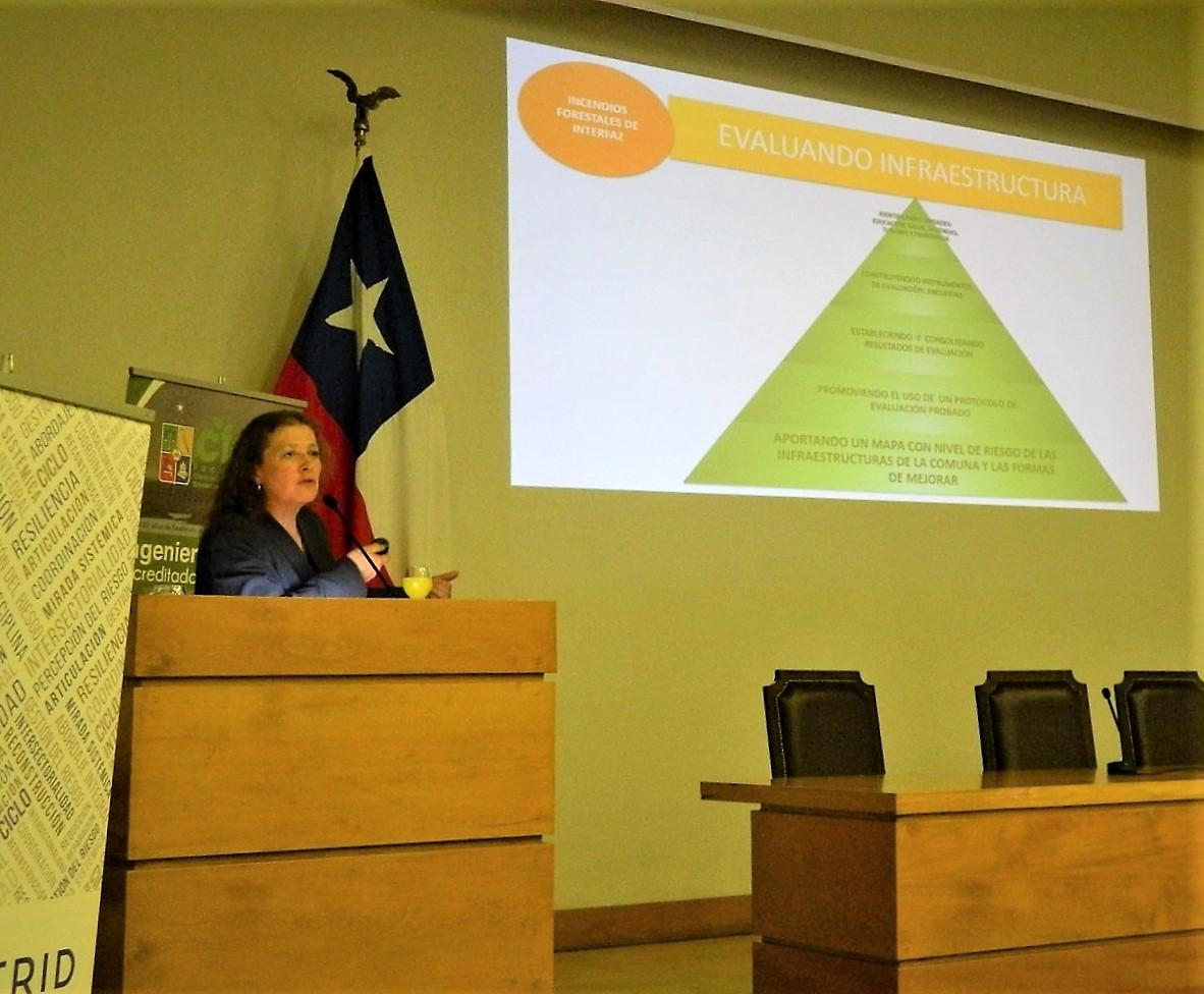 La académica Rose Marie Garay, es Directora Alterna del proyecto Fondef, Profesora de CFCN y miembro de CITRID.