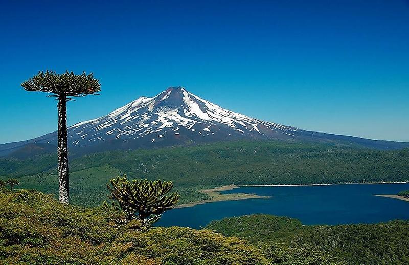 Diez son los Parques Nacionales incluidos en el cronograma del gobierno para licitar concesiones en su interior o alrededores.