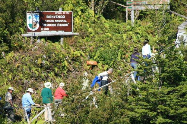 Los parques ya tienen problemas de congestión humana, deterioro de senderos por compactación de suelo, entre otros. 