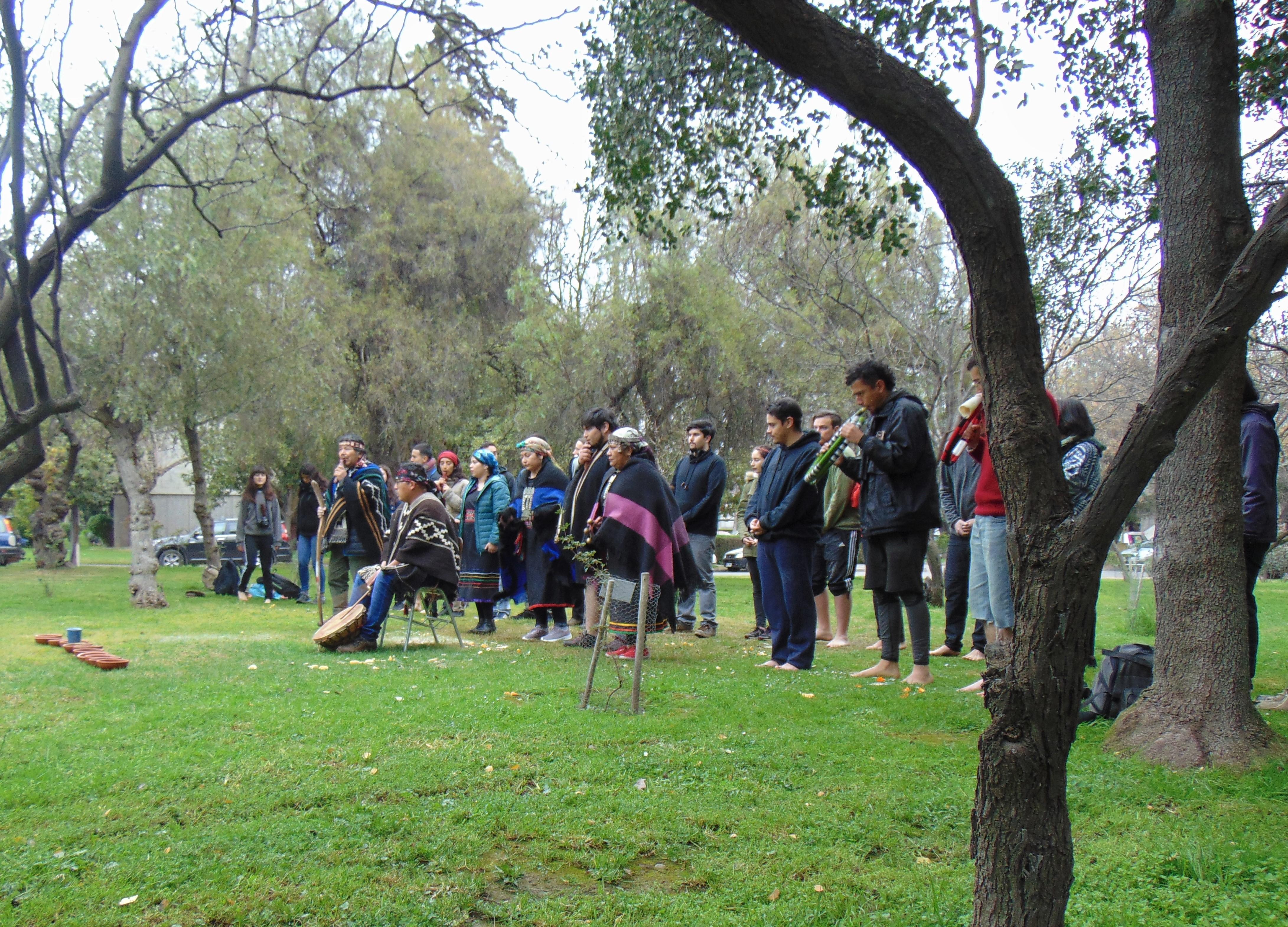 Rogativa agradecimiento alimentos