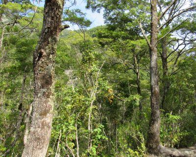 Los ecosistemas albergan biodiversidad que mantiene un equilibrio entre los seres vivos e inertes que incide en la salud humana, animal y medioambiental.