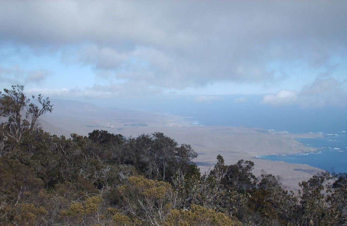 En el Parque Nacional Fray Jorge se puede observar desde un ecosistema semirárido a un bosque del tipo valdiviano en la costa de la Región de Coquimbo.