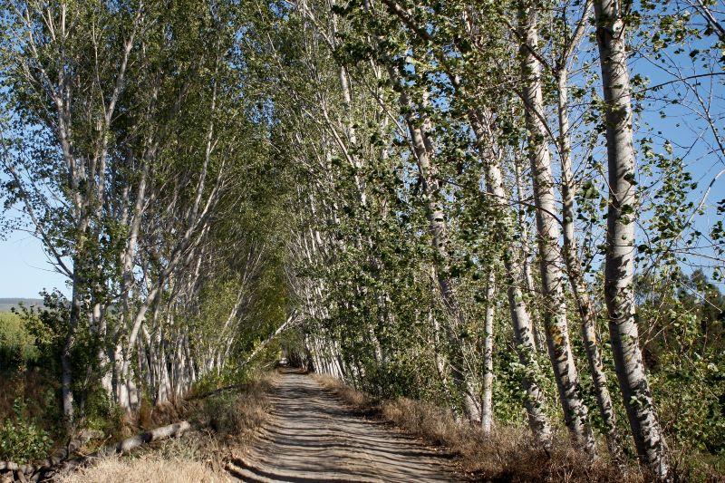 Las actividades económicas generan inevitablemente un impacto en las comunidades y en los recursos naturales 